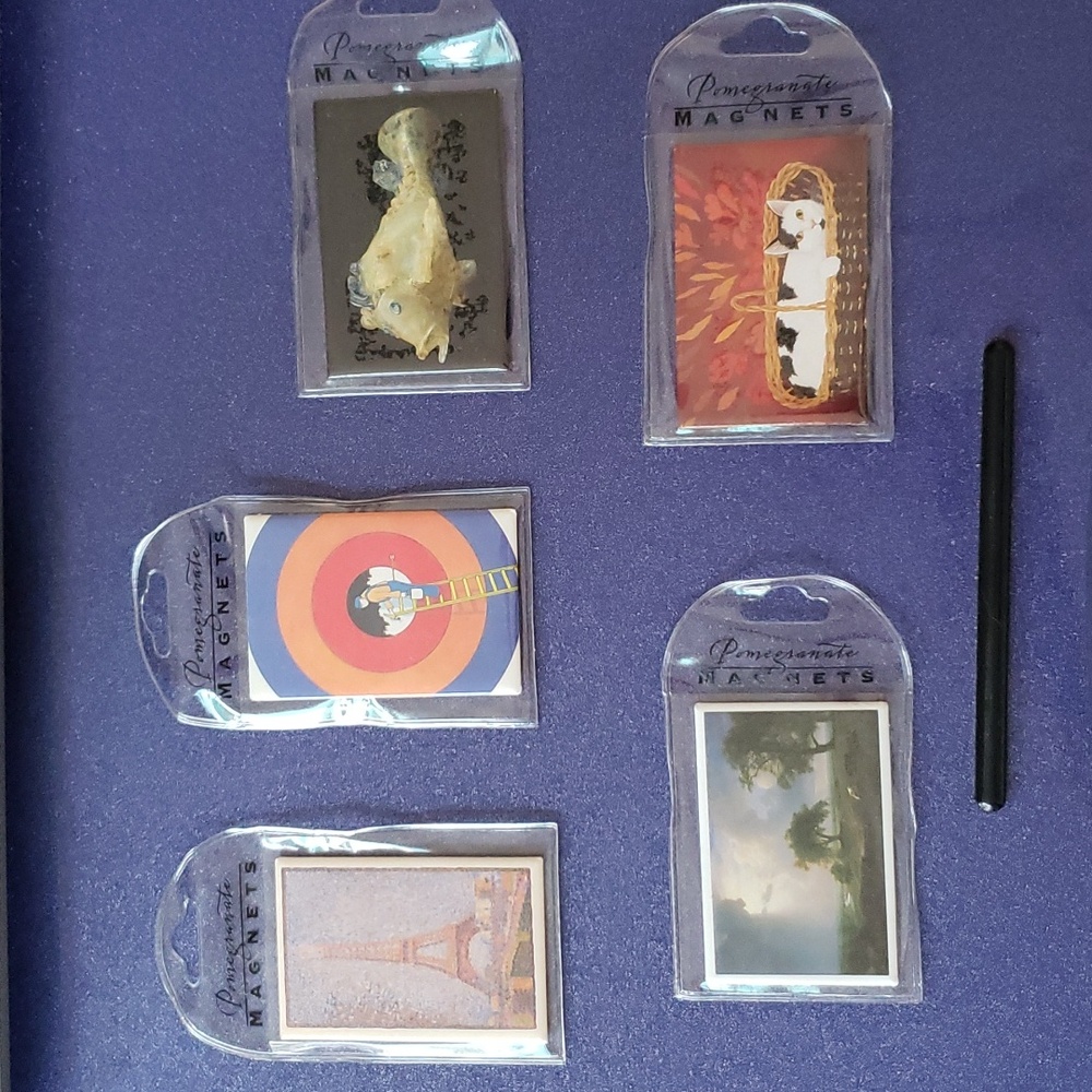 Assorted Art Magnets by Pomegranate Communications 5-pc